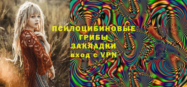 кокс Белокуриха