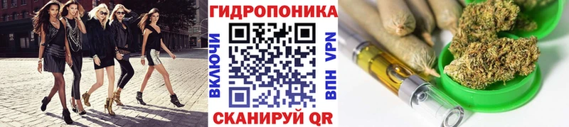 Канабис индика  Венёв 